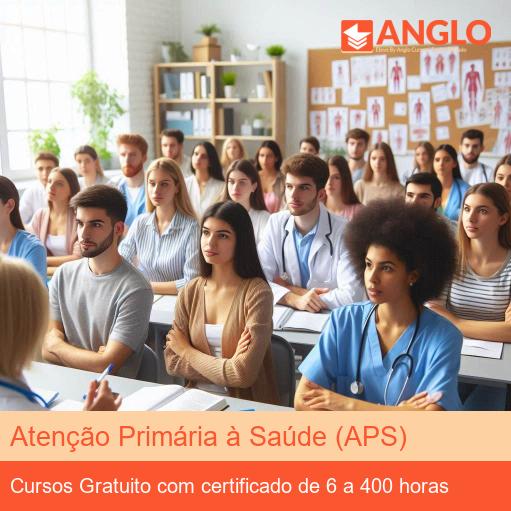 Atenção Primária à Saúde (APS)